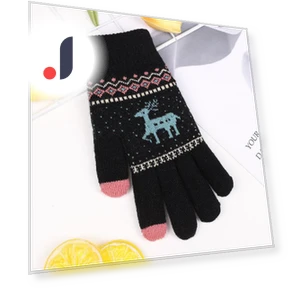 Double-Layered Thickened Velvet Winter Warm Gloves with Touchscreen — Gloves, Outdoor Boutique TOP