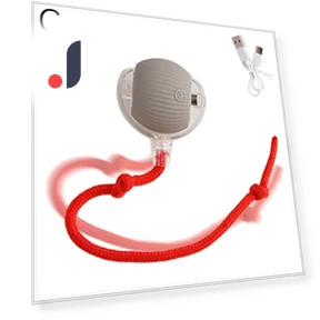Interactive Cat Toy with Tail — Interactive Animal Companions, A Surname Home