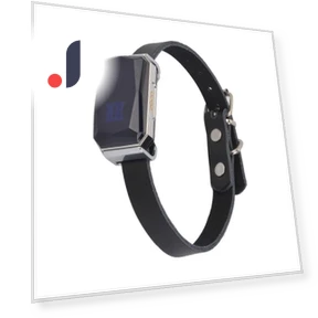 Smart GPS Pet Tracker Collar — Trackers, ZOVAYILA