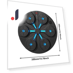 Smart Musical Boxing Trainer — Boxing Training Gear, Crowner