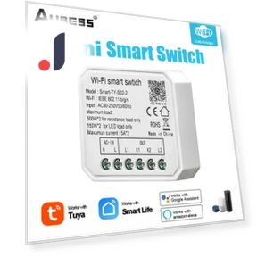 Mini Smart DIY Light Switch Module 2 Gang — Smart Home Modules, Tuya