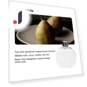 Smart Aroma Diffuser Air Purifier — Diffusers, HIMO Group