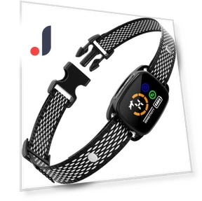 Automatic Anti-Bark Dog Collar — Anti-Bark Training Devices, Super Dream Home