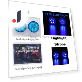 Car Door Warning Light — Vehicle Safety Signals, Wrigleys