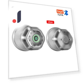 Electronic Smart Lock with Fingerprint — Smart Home Security, Super Dream Home