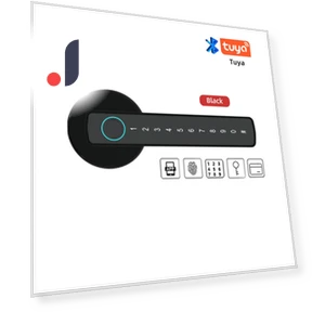 Smart Door Lock with Fingerprint — Smart Home Security, Super Dream Home