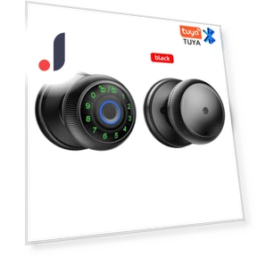 Smart Door Lock with Fingerprint — Smart Home Security, Super Dream Home