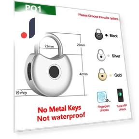 Smart Padlock — Padlocks & Hasps, RAYKUBE
