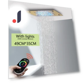 Shower Head with Matte Ceiling and LED Lighting — Fixed, JOHO