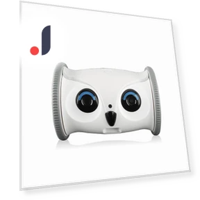 Interactive Owl-Shaped Treat Dispenser Robot with Camera — Cameras & Monitors, Seahorse Home