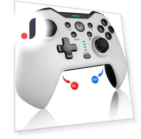 Programmable Wireless Controller — Gaming Controllers, Super Dream Home