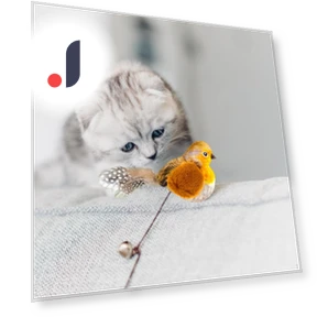 Squeaky Bird Cat Toy — Cat Playthings, Love DIY