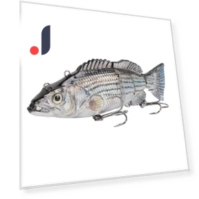 Robotic Floating Fishing Lure — Artificial Bait, Fishine