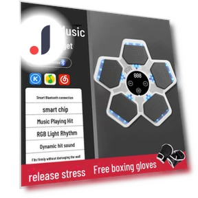 Smart Music Boxing Wall Target — Boxing Training Gear, Apex Gear