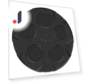 Bluetooth Music Boxing Wall Trainer — Home Gyms, TopSky