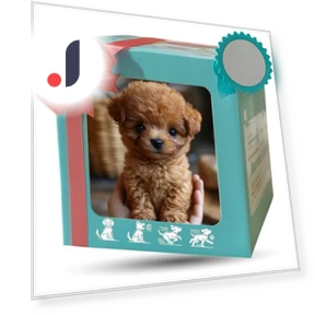Plush Robot Dog with Wagging Tail — Interactive, Lianchuang