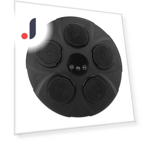 Bluetooth Smart Boxing Trainer — Boxing Training Gear, Fishine