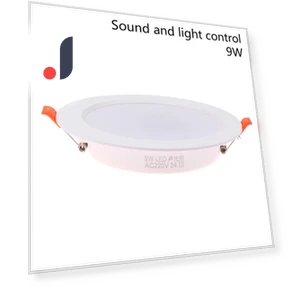Motion Sensor Spot LED Downlight — Garden Illumination, Comfortable Housy