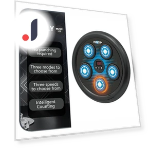 Smart Electronic Boxing Trainer — Boxing Training Gear, Hong Hollyland