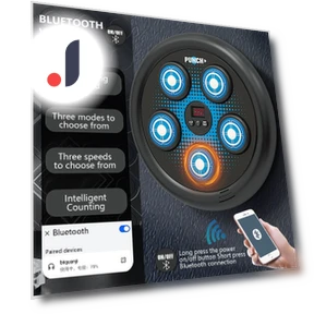 Electronic Boxing Trainer — Boxing Training Gear, Smarrt home