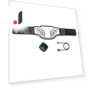 Smart EMS Abdominal Belt — Arm & Wrist Wearables, BC Pet Supplies