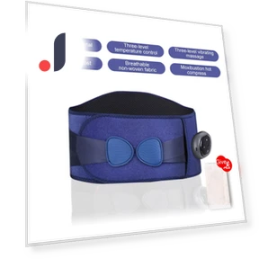 Smart Wireless Heating Belt — Thermal Therapy Solutions, BC Pet Supplies