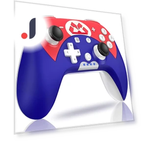 Wireless Controller Switch — Gaming Controllers, DOKI DOKI MARKET