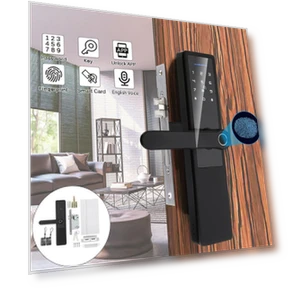 Electric Biometric Door Lock — Locks, Decor Dream
