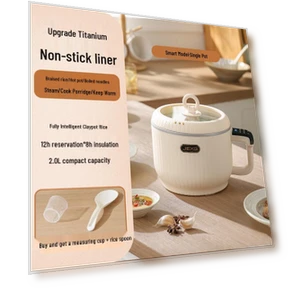 Electric Steamer and Cooker — Portable Cooking Solutions, JIEXG