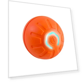 Interactive Dog Toy Ball — Balls, Jingang
