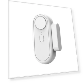 Multifunctional Magnetic Sensor Anti-Theft Alarm — Safety Alarms & Signals, Ruishi