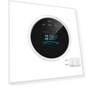 Natural Gas Leakage Detector — Gas Safety Equipment, Ruishi