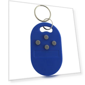 Smart RFID Chip Keychain Set — Biometric Security, Ruishi
