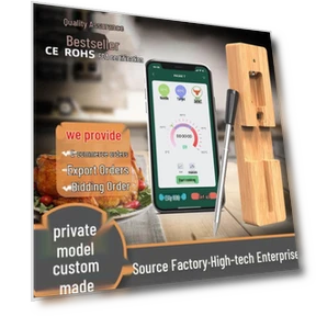 Smart Waterproof Bluetooth BBQ Thermometer — Grill Thermometers, Value Vault
