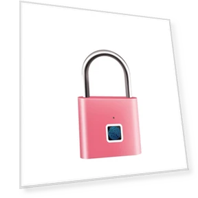 USB Charging Smart Padlock Keyless Electronic Door Lock — Padlocks & Hasps, Manpin