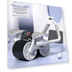 Double Wheel Ab Roller — Core & Ab Trainers, Crown Global