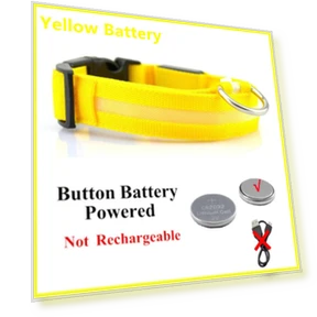 LED Glowing Dog Collar — Collars, Smart Pet Supplies