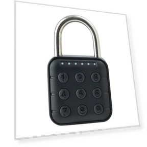 Smart Biometric Door Lock — Locks, HOME-Auto-001