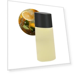 Smart Car Air Freshener — Car Air Fresheners, Homespace