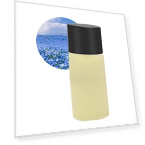 Smart Car Air Freshener — Car Air Fresheners, Car Care