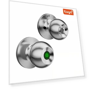 Smart Door Handle with Fingerprint — Biometric Security, Crown Global
