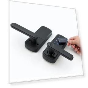Smart Lock with Fingerprint — Smart Home Security, Crown Global