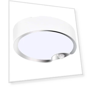 Ceiling Light with Motion Sensor — Garden Illumination, HauteHive