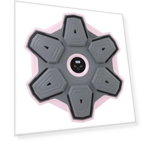 Smart Music Punching Target — Boxing Training Gear, Fishine