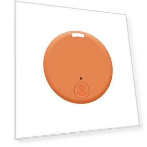 Wireless Bluetooth Wallet Key Finder — Item Locators, Eastman