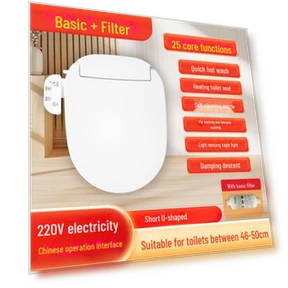 Heated Smart Toilet Seat with Bidet Function — Bathroom Essentials, Polaris