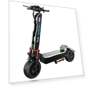 Electric Scooter — Electric Self-Balancing Scooters, FENGQS