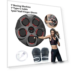 LED Bluetooth Boxing Training Target — Boxing Training Gear, Binchi Keji Travel