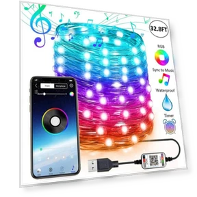 Personalized Smart LED Christmas Tree Lights — Lighted Displays, LanZhong LED