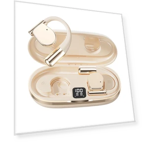 AI Translator Earbuds — Language Translators, Good Household Items